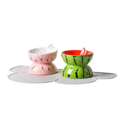 Cat Bowl Cerami Basin Protection Cervical Slope Pet Supplies